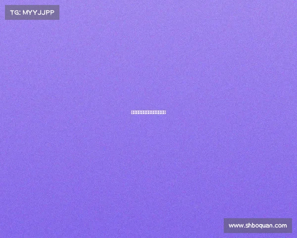 搏击赛事赢利模式搏击赛事流程